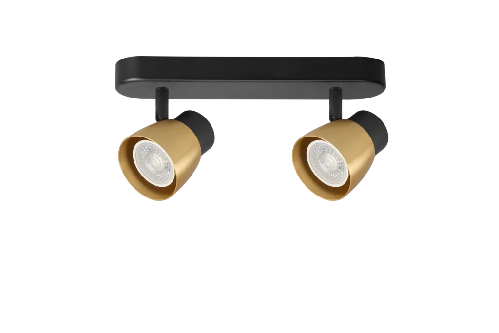ARC 2 GU10 Ceiling Spotlight