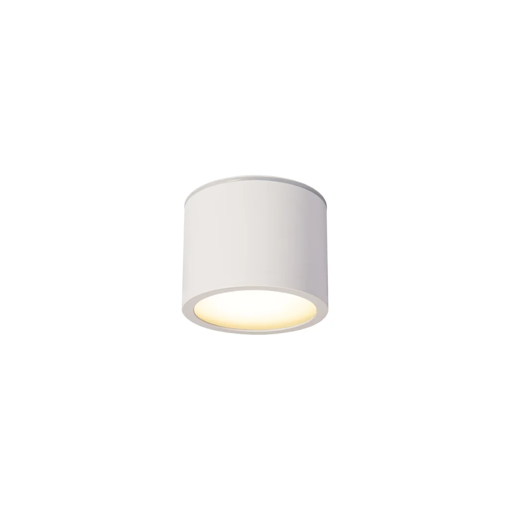 ALOE 1 GX53 Downlight IP54WH