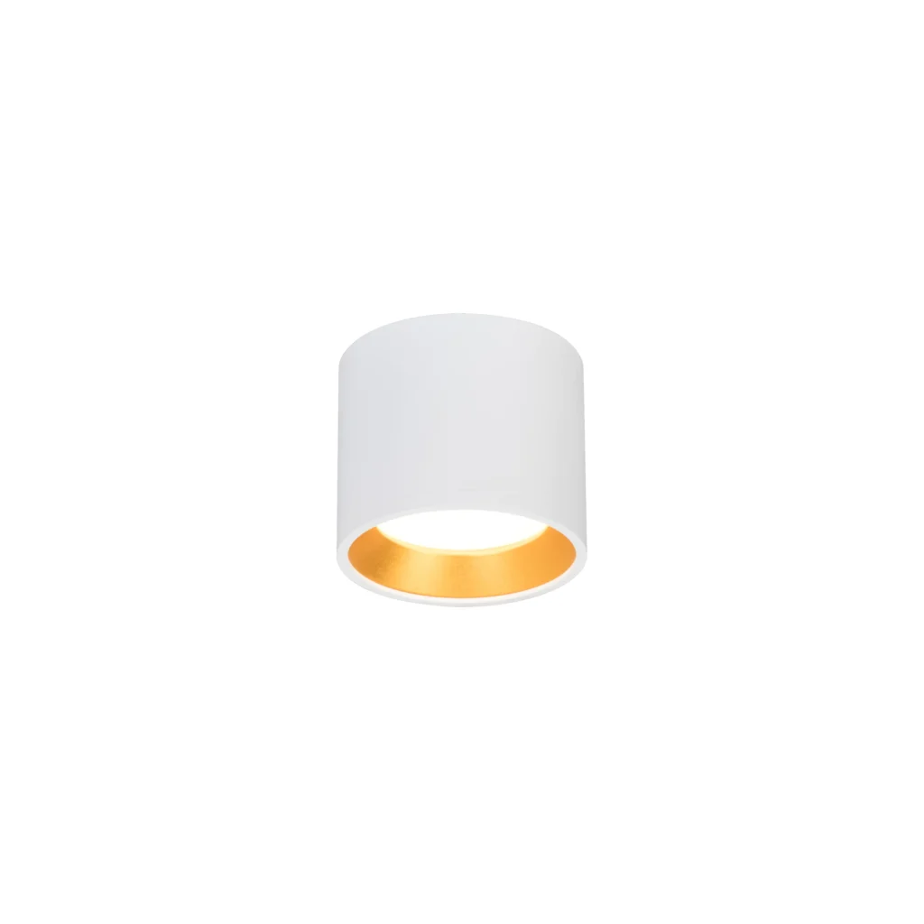 FORGE GX53 Downlight Round WH+GD