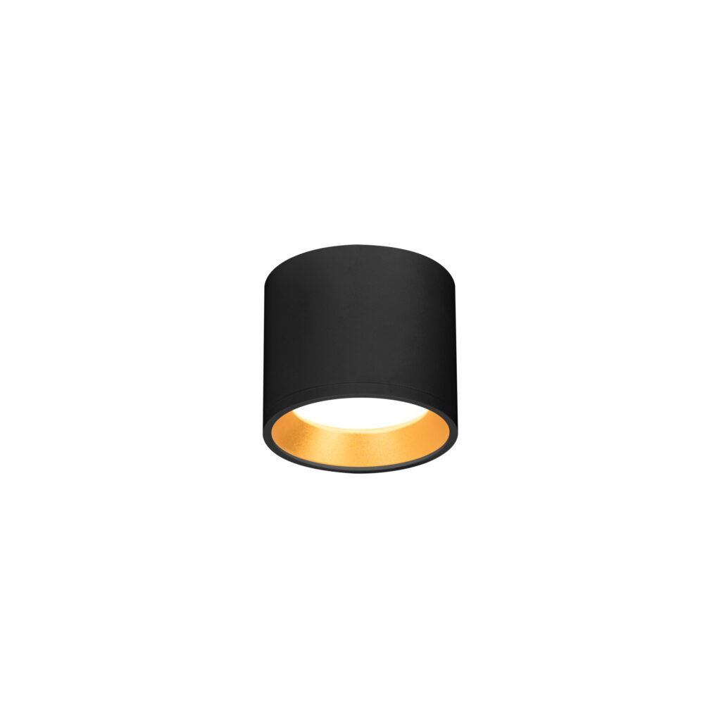 FORGE GX53 Downlight Round BK+GD