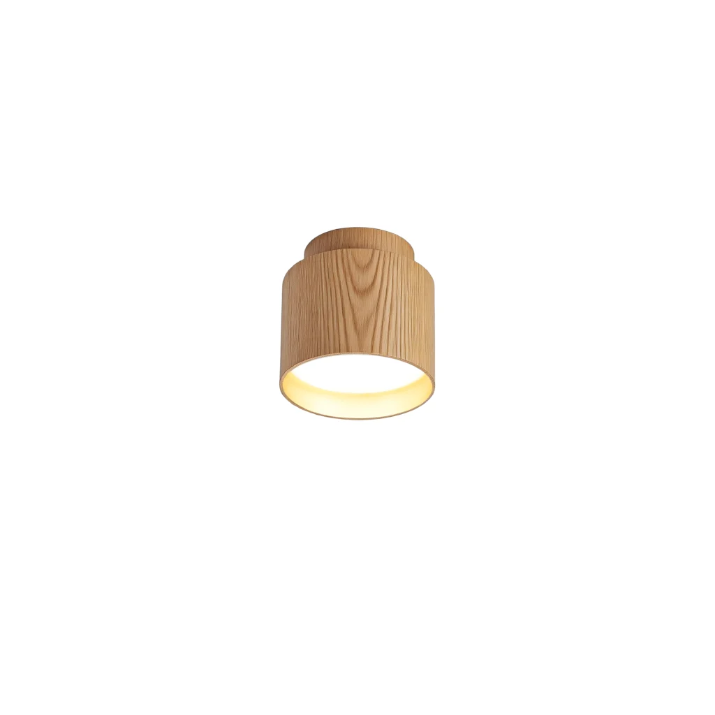 EDEN GX53 Surface mounted downlight with 3W LED back light WD
