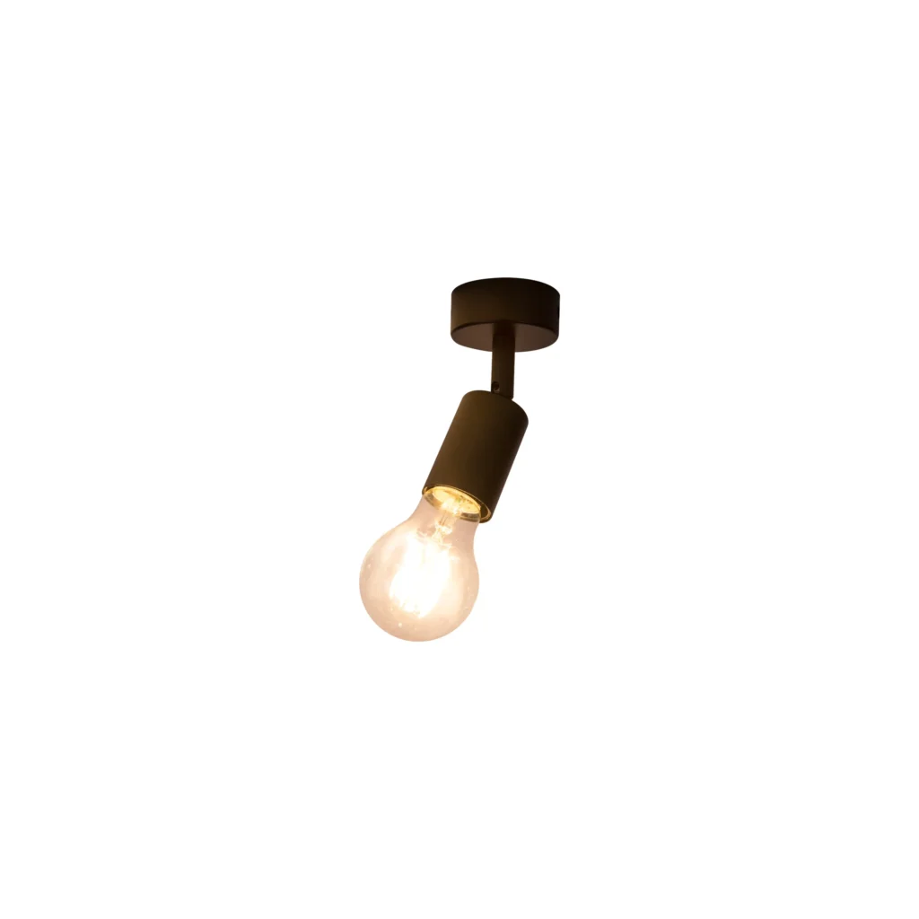 CAME 1 E27 Ceiling Spot Light BK