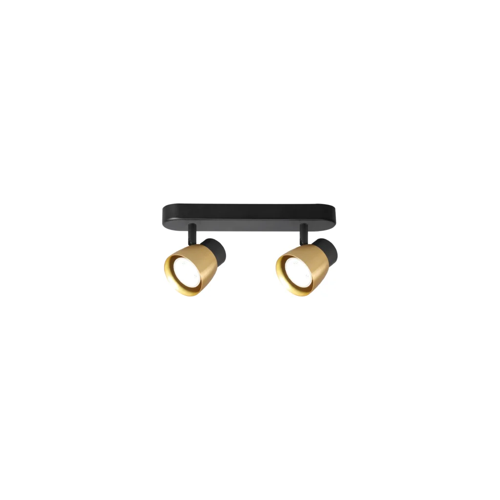 ARC 2 GU10 Ceiling Spot Light BK+GD