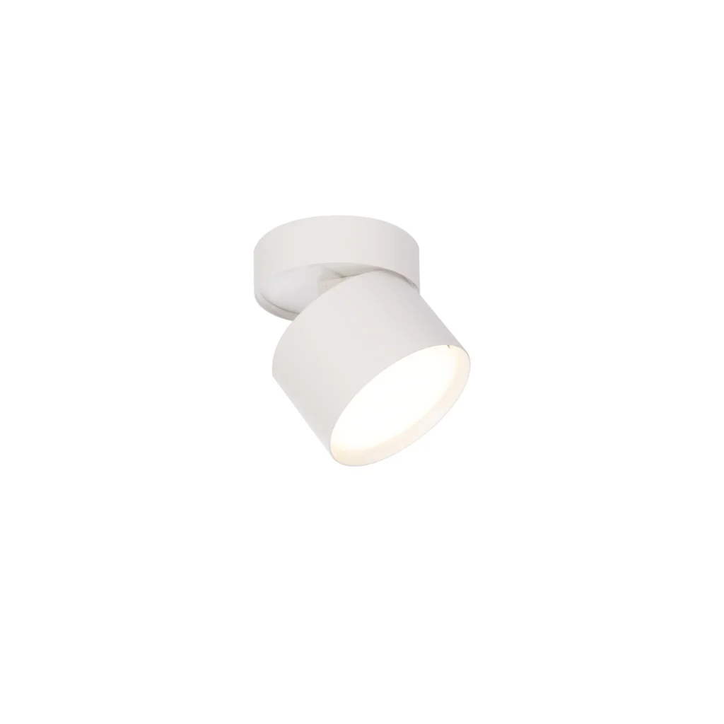 ARIA GX53 Surface mounted downlight WH