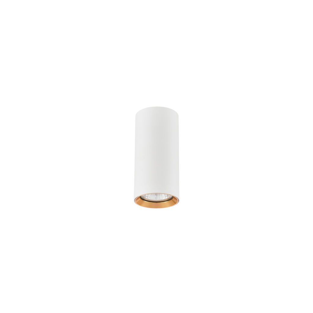 RAIN 1 GU10 Surface-mounted Downlight WH