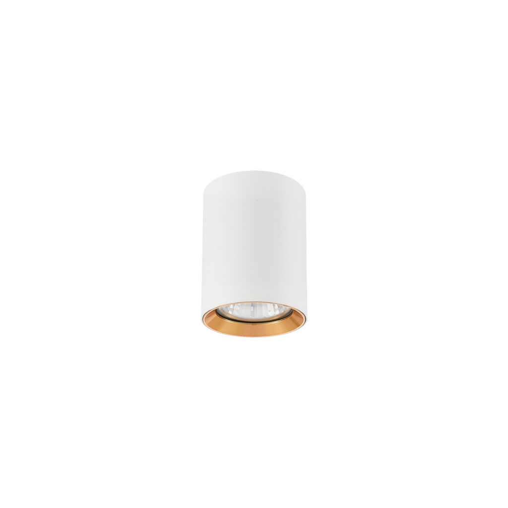 OLVE 1 GU10 Surface-mounted Downlight WH