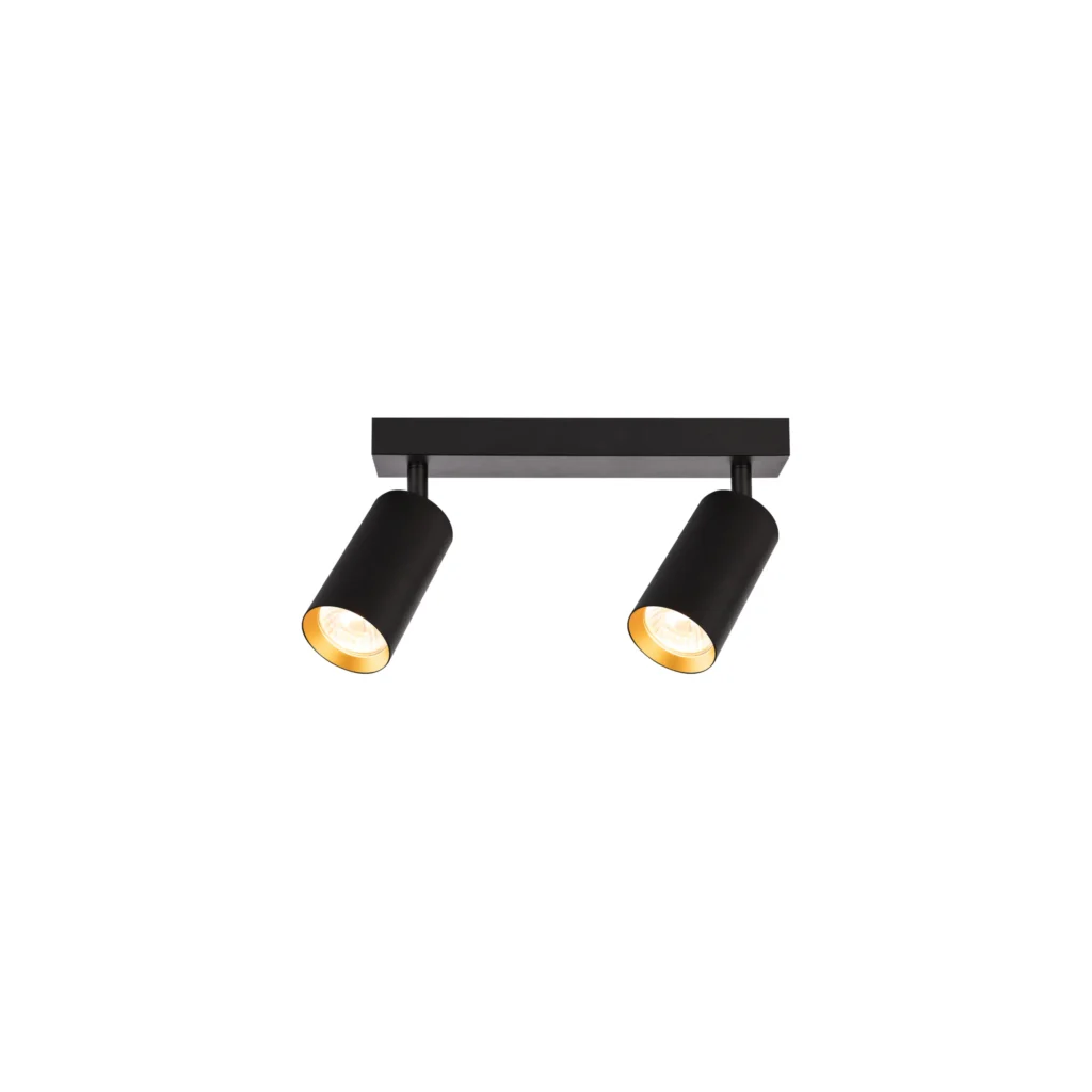 GAIA 2 GU10 Ceiling Spot Light BK+GD