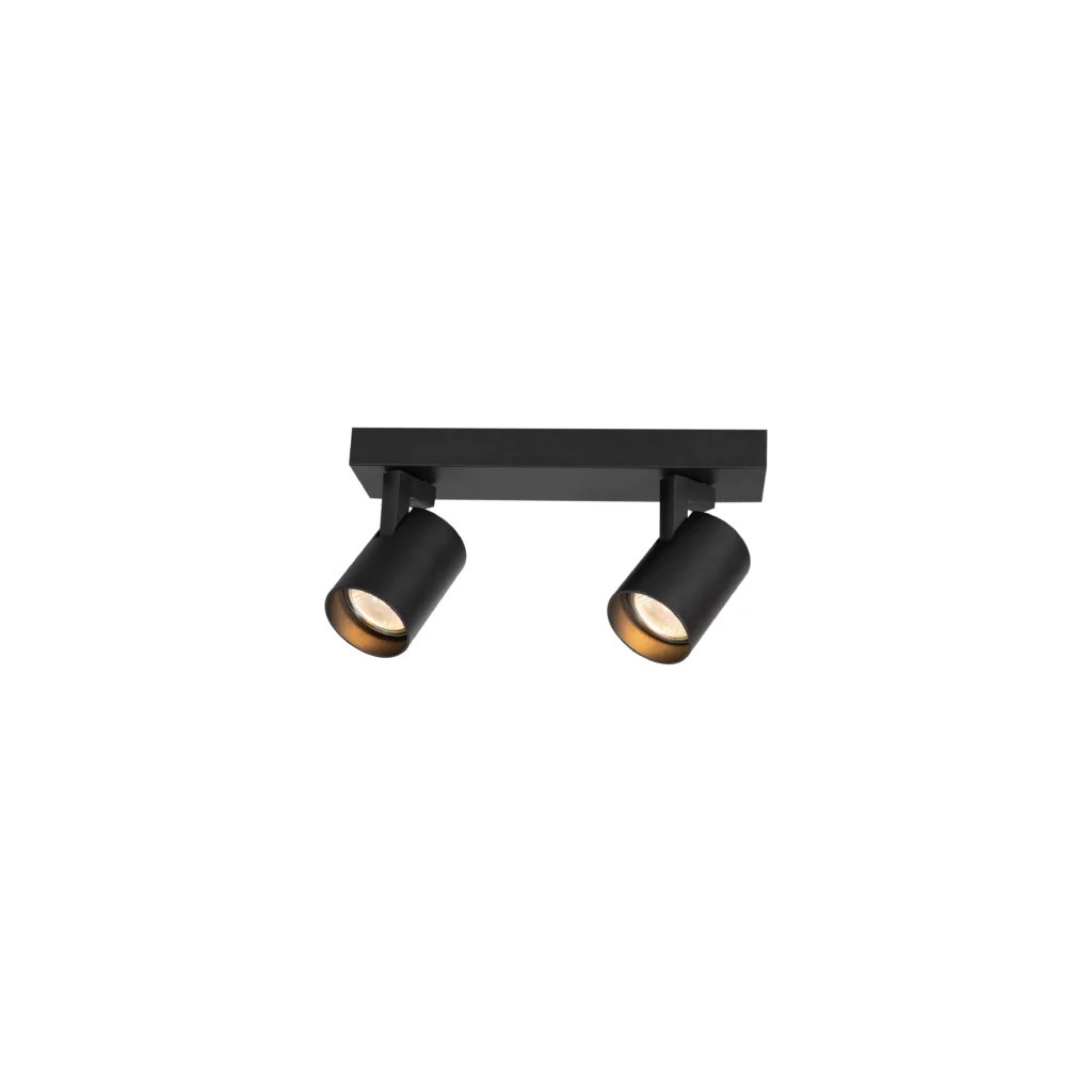CORA 2 Ceiling Spot Light BK