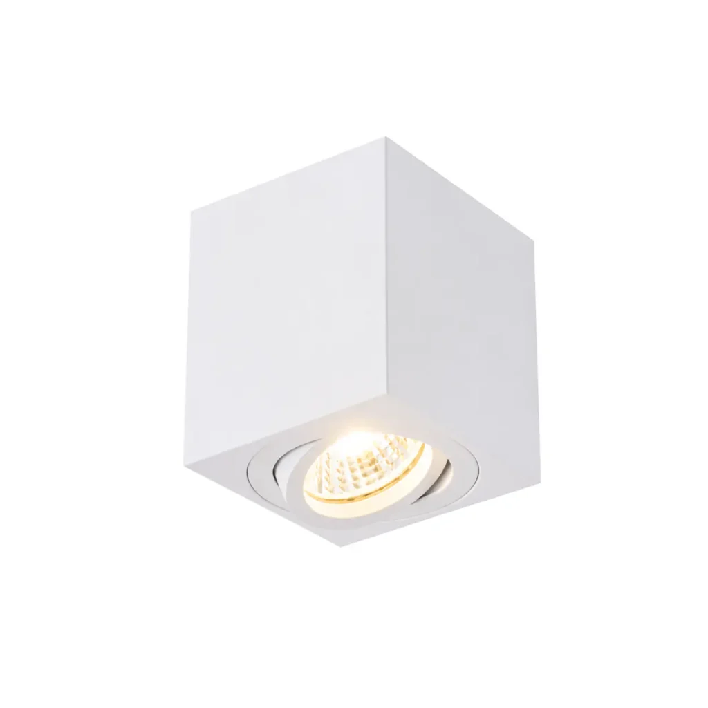 ALBA 1 GU10 Surface Mounted Donwlight WH