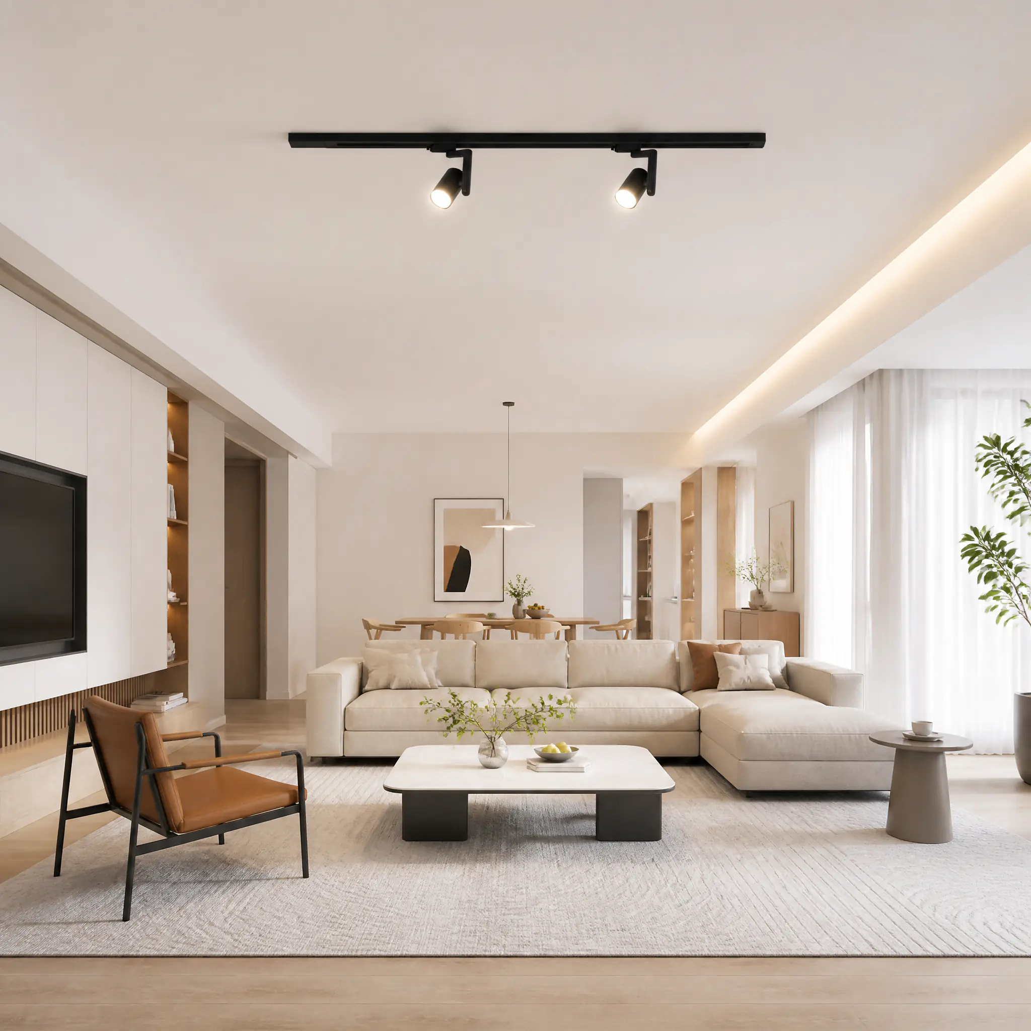 file_9_1784107655884 Track Lighting