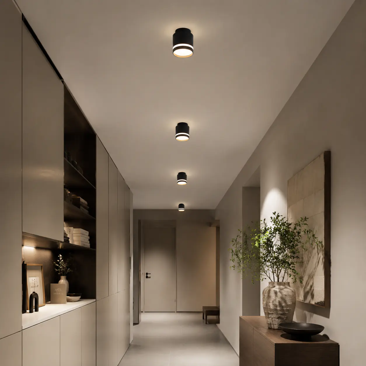 Ceiling lights