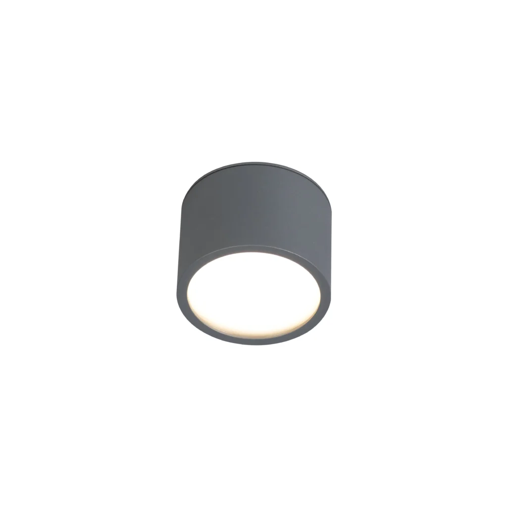 UMI 1 GX53 Surface Mounted Downlight ANT